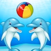 dolphin-show