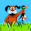 Duckhunt