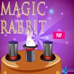 Magic Rabbit