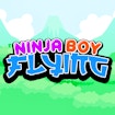 Ninja Boy Flying