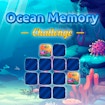 Ocean Memory Challenge