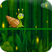 Snail Run