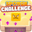 Sponge Challenge